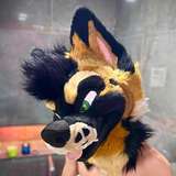 palacewolf from onlyfans